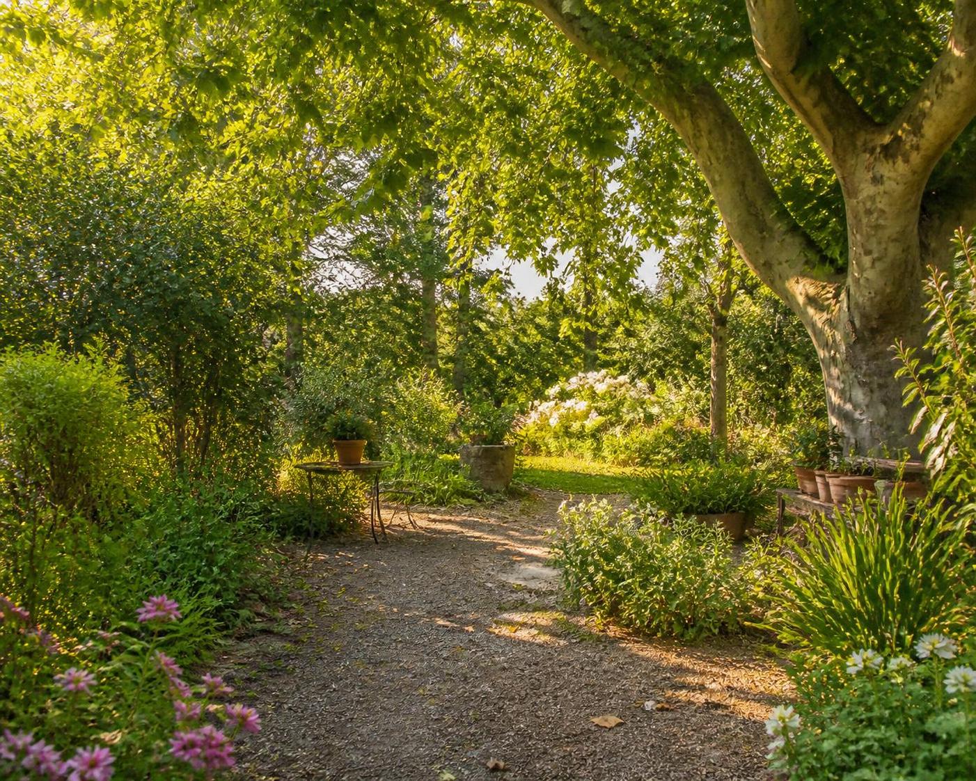 aménagez votre jardin cet été et créez un espace verdoyant unique où nature et détente se rencontrent pour un cadre exceptionnel.