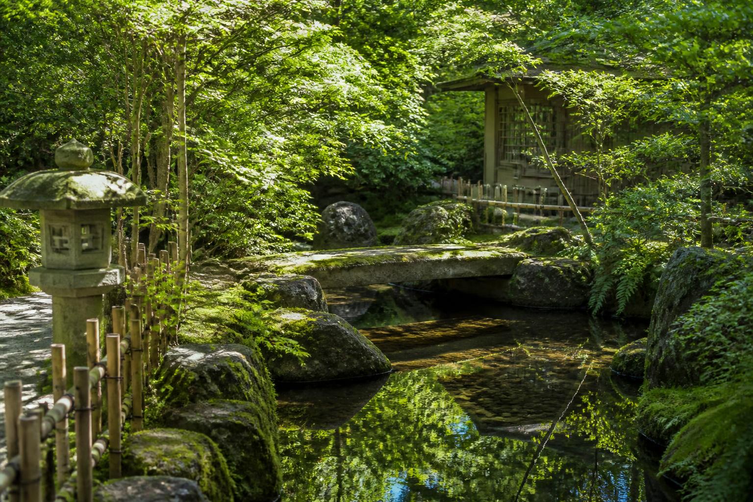 découvrez comment créer un jardin japonais chez vous pour un espace zen et apaisant, alliant harmonie, simplicité et nature.