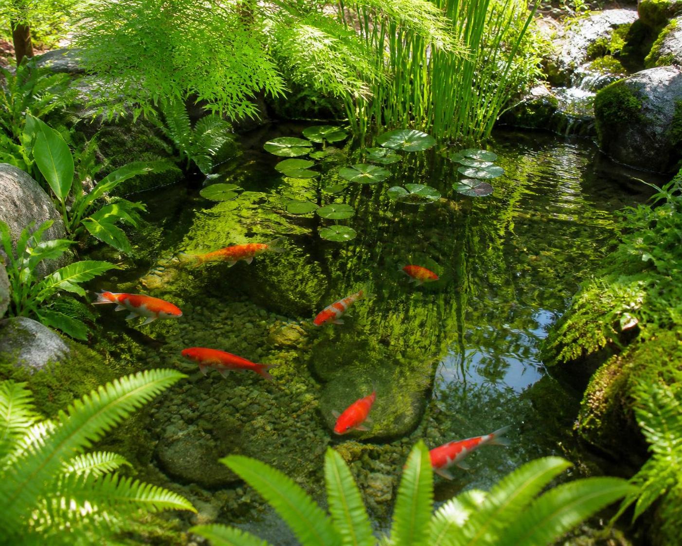 découvrez comment créer un bassin idéal pour poisson rouge, en assurant un environnement sain et attrayant qui favorise leur bien-être et leur beauté.