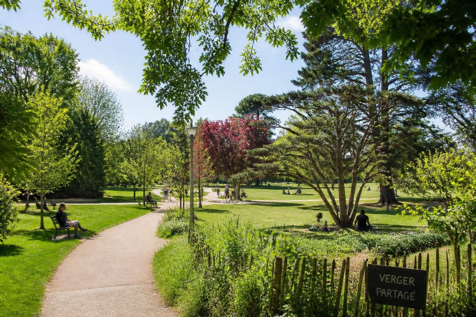 explorez l'arboretum de quince, un havre de paix naturel où la biodiversité rare s'épanouit entre arbres majestueux et paysages apaisants.