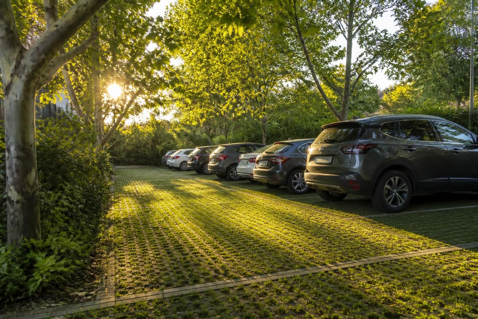 découvrez les dalles engazonnées pour parking, une solution alliant esthétique et respect de l'environnement. améliorez votre espace tout en favorisant la perméabilité et la verdure.