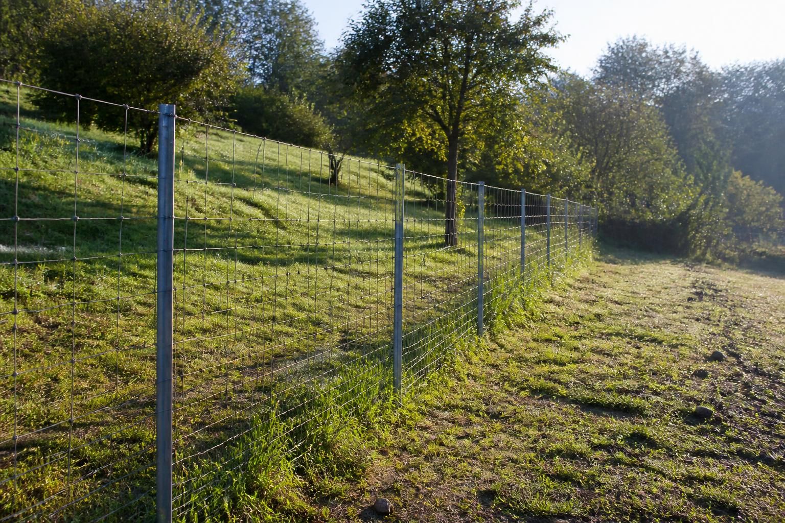 découvrez notre sélection de grillages et piquets de clôture pour sécuriser efficacement votre terrain. choisissez la solution idéale alliant robustesse et durabilité.