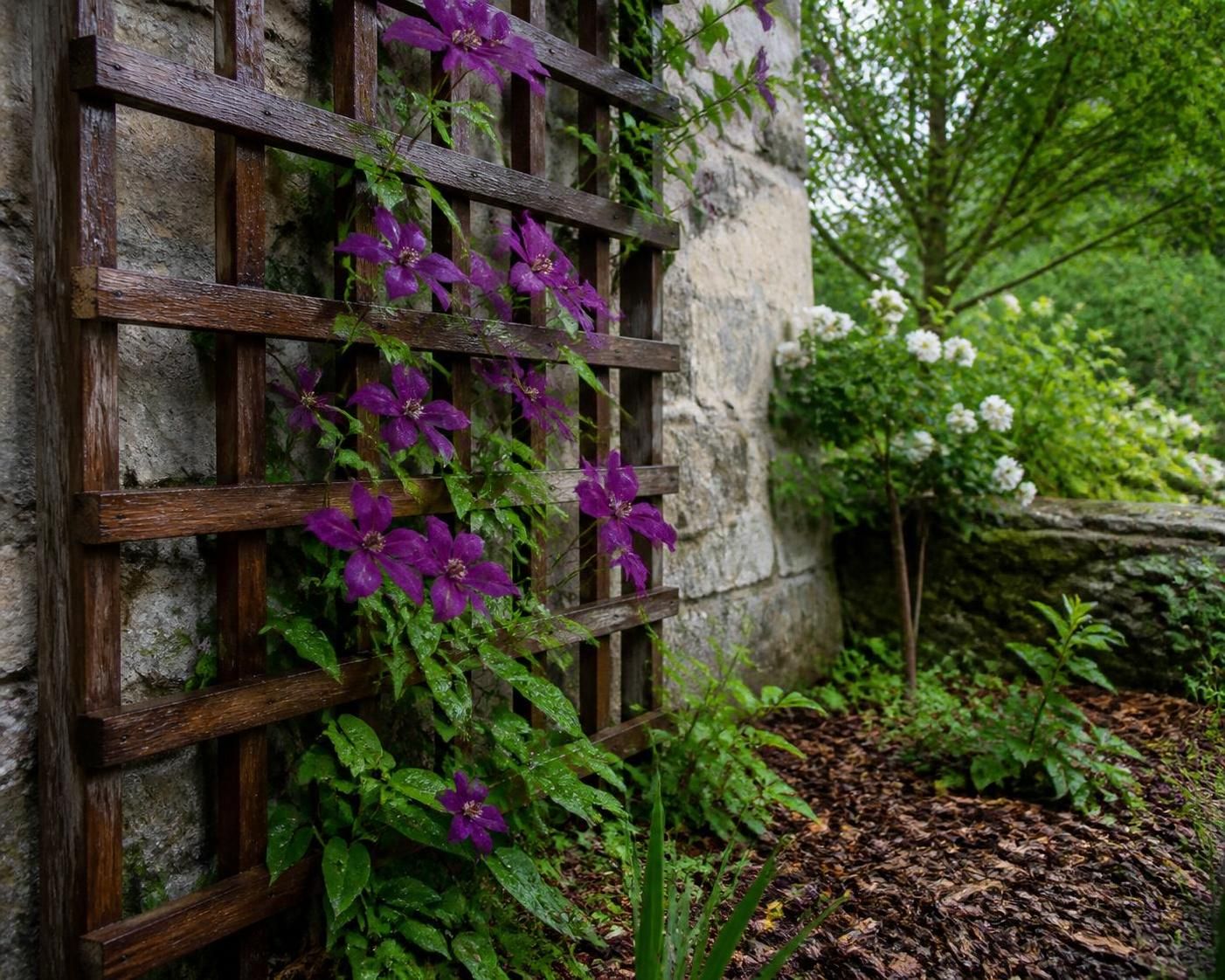 découvrez nos modèles de supports en bois pour plantes grimpantes et apprenez à les fabriquer facilement pour sublimer votre jardin.