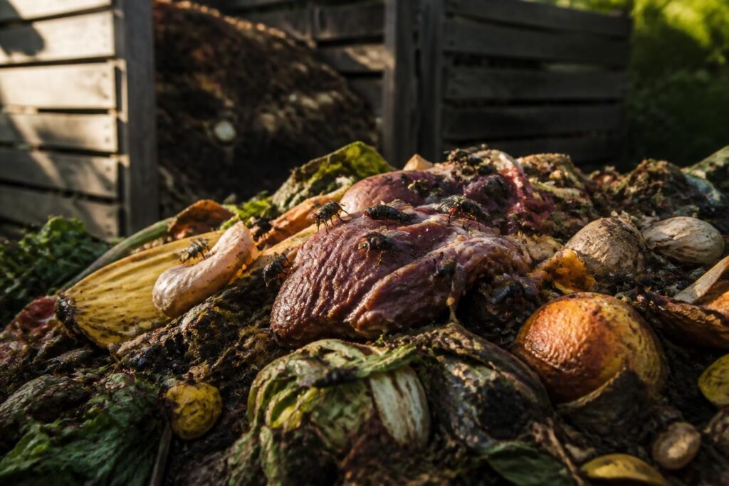 découvrez pourquoi il est déconseillé de mettre de la viande au compost et apprenez les bonnes pratiques pour un compostage efficace et écologique.