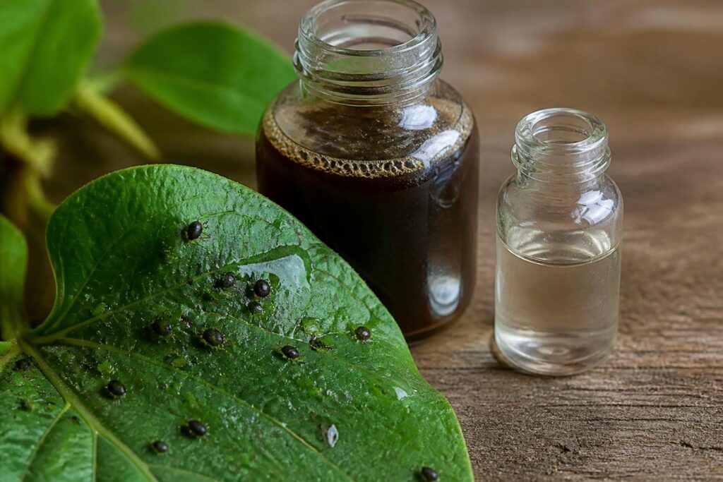 découvrez comment utiliser le savon noir et l'alcool à brûler pour éliminer efficacement les pucerons grâce au bon dosage et protéger vos plantes naturellement.