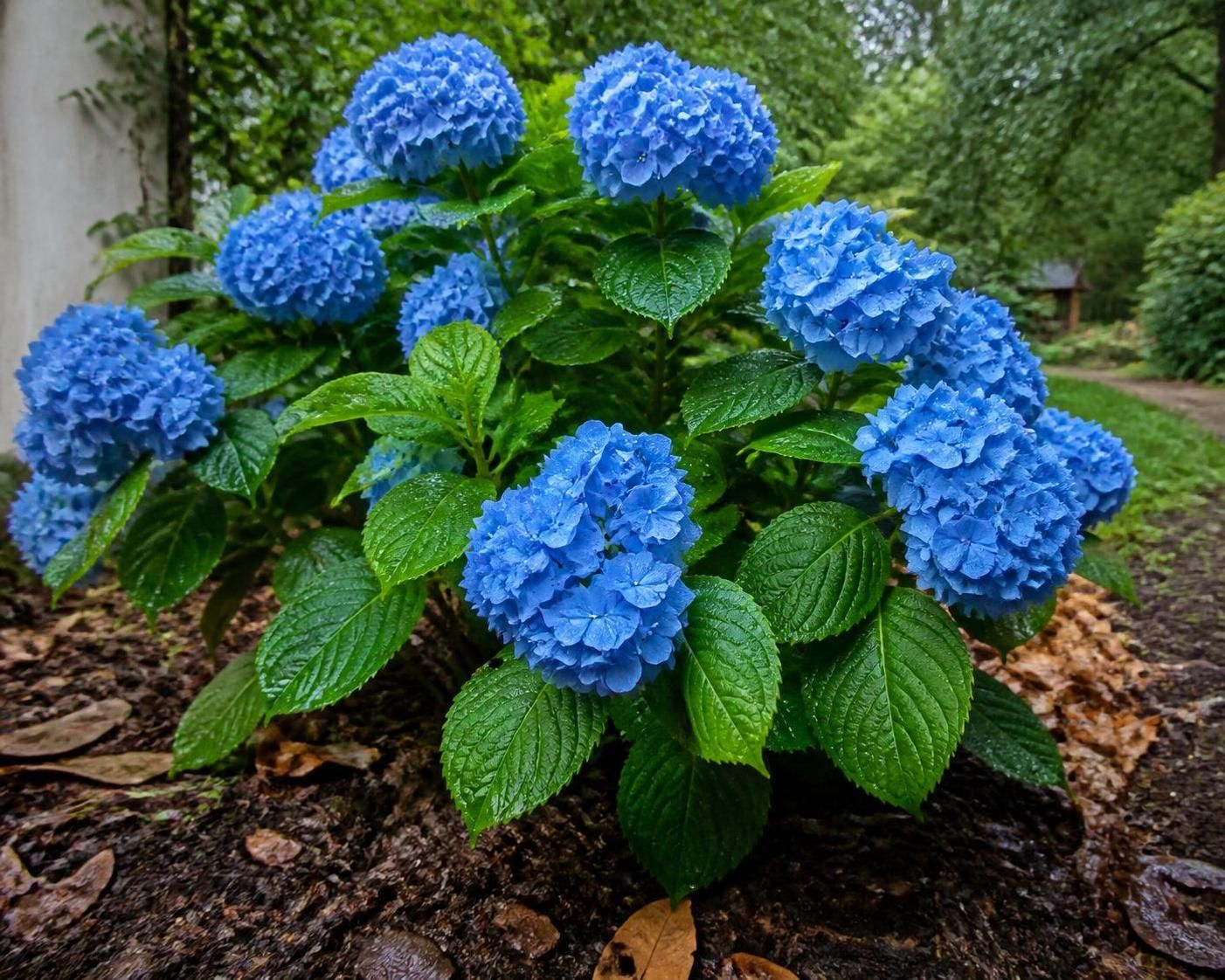 découvrez si le mélange terre de bruyère et hortensia est réellement utile pour vos plantations ou simplement un argument marketing.