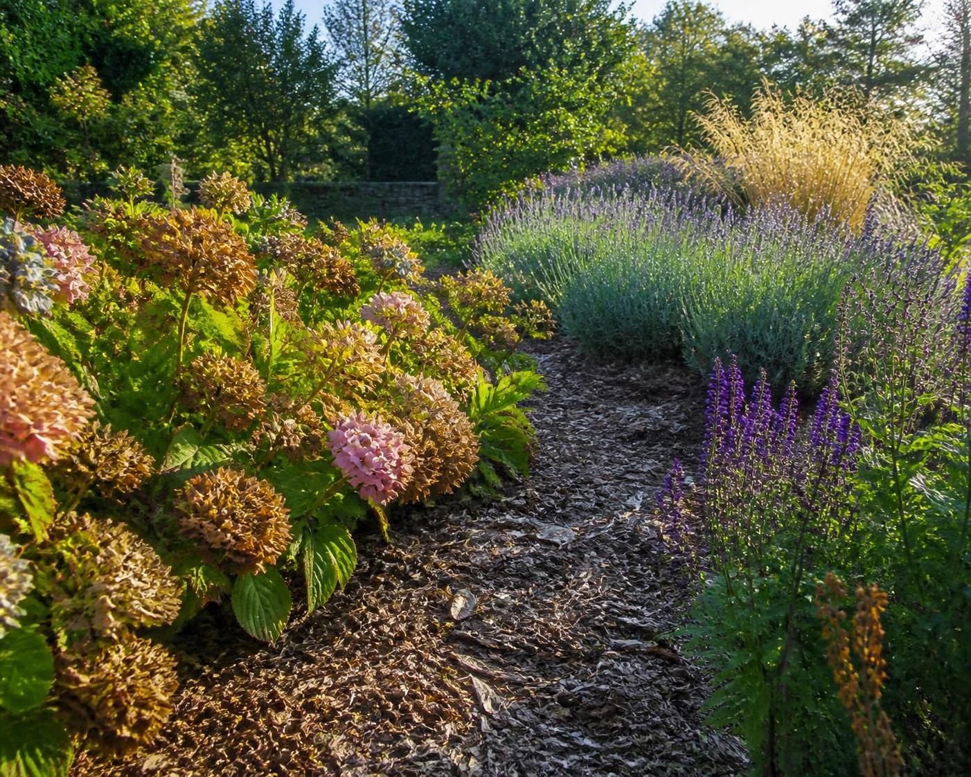 découvrez la loi hortensia expliquée simplement et comprenez ses impacts essentiels pour les jardiniers passionnés et amateurs.