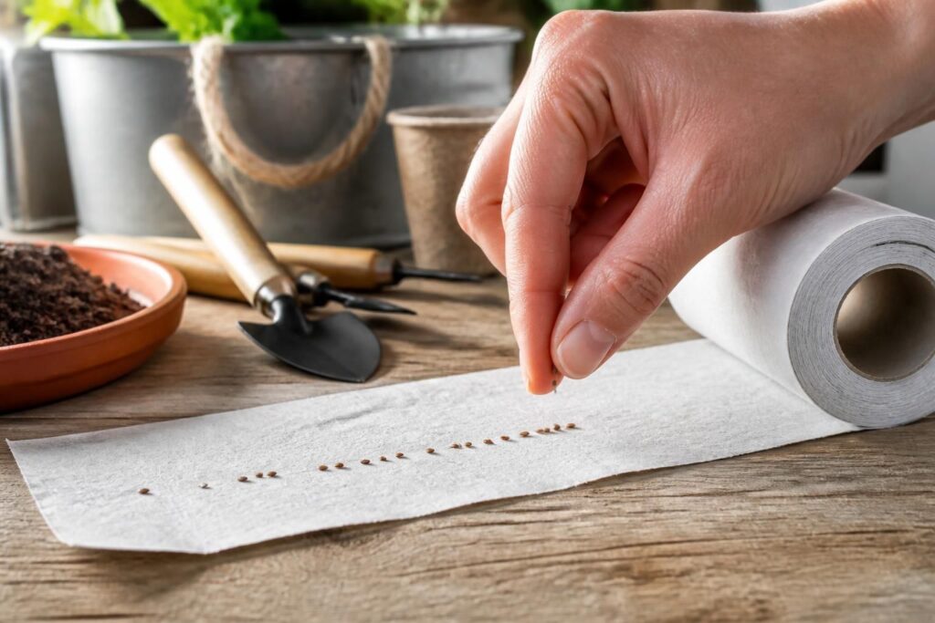 découvrez comment semer des carottes facilement en utilisant du papier toilette, une méthode simple et efficace testée pour réussir votre potager.